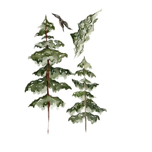 naklejki ścienne do pokoju dziecka Zestaw naklejek ściennych Pinewood Trees 150