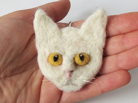 Kot turecka angora DoraHand