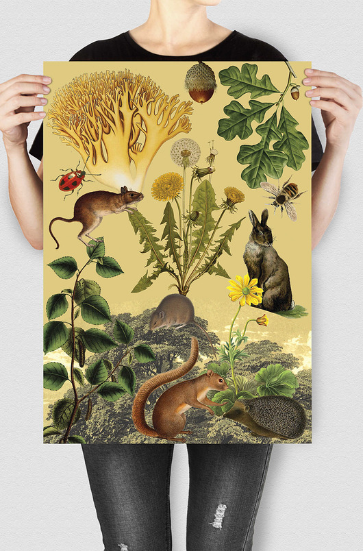 grafiki i ilustracje Kolaż Quercus - Plakat ze Zwierzętami