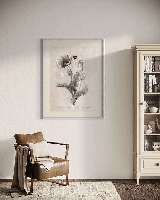 grafiki i ilustracje Mak  Fine Art Print