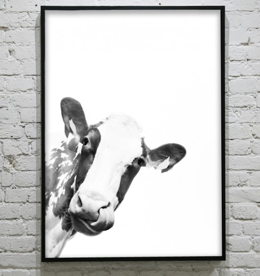 KRÓWKA- poster 50x70 cm KOKO by HOKO