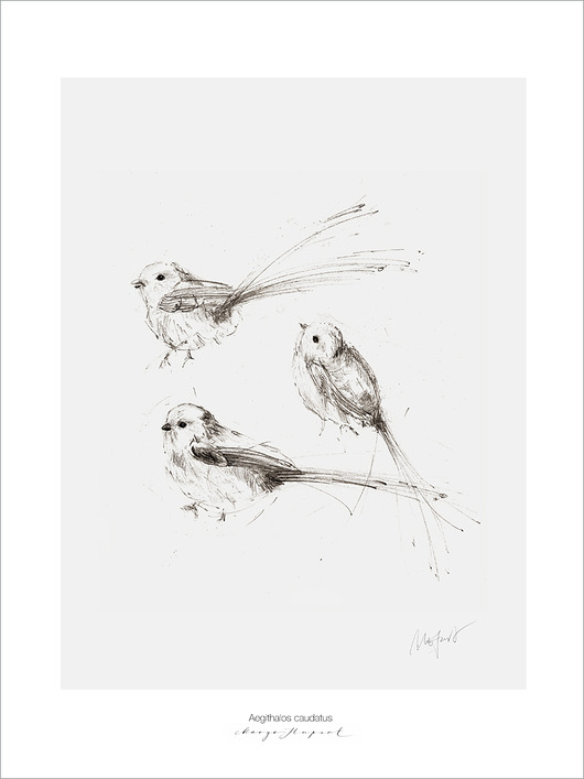 grafiki i ilustracje Raniuszki Fine Art Print