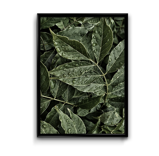 plakaty Plakat Liście po Deszczu
