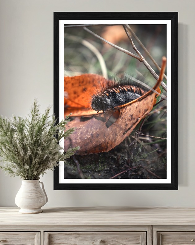 plakaty Plakat Ucieleśniona Inspiracja