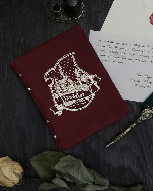 pokrowce i etui - różne Etui na czytnik Magiczny Uniwersytet Dandelor de Luxe