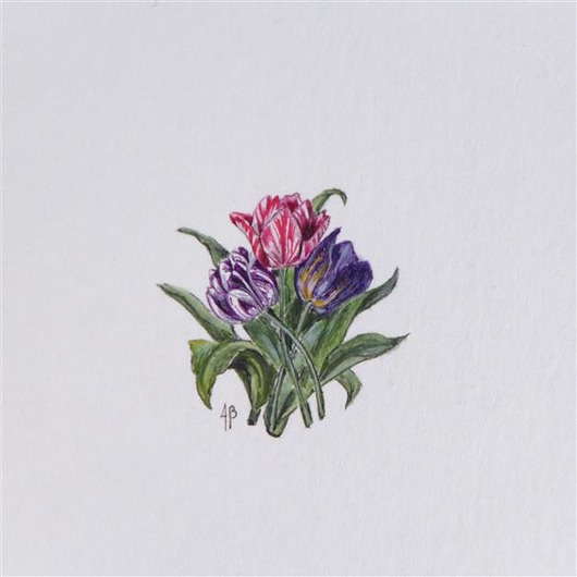 Tulipany, Botanical illustration, miniatura atelier by Olga