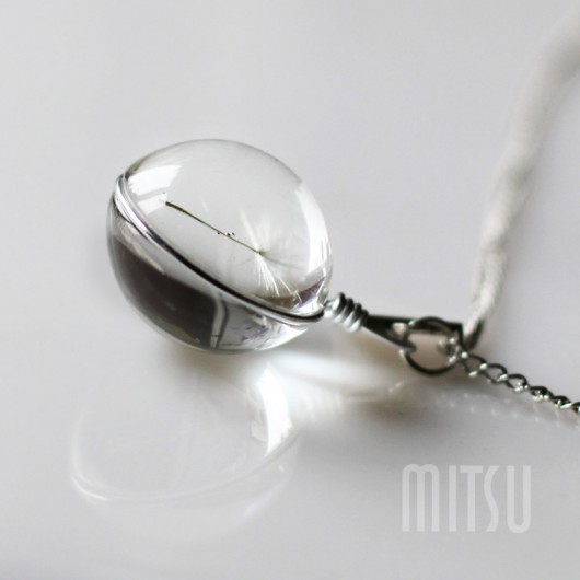 Dandelion  Mitsu