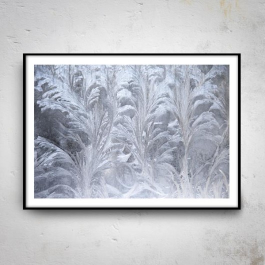 ICE I 50x70 mucca by mua