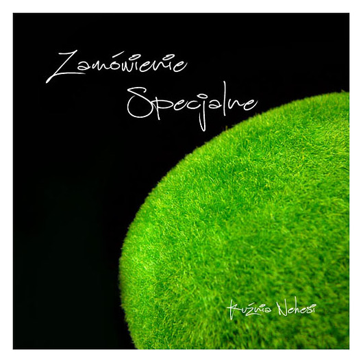 Zamówienie Specjalne Kuźnia Nehesi