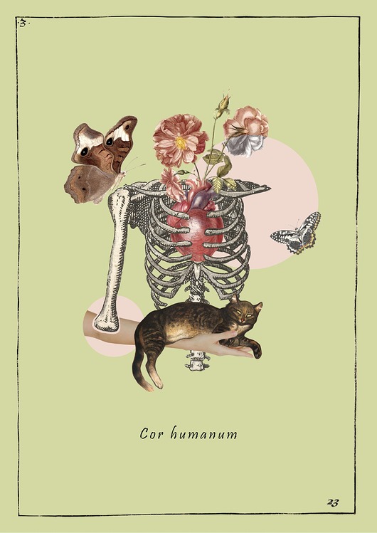 plakaty Plakat A3 - Cor humanum, Serce człowieka