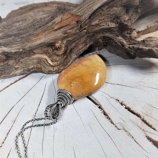 wisiory Fossil  s108