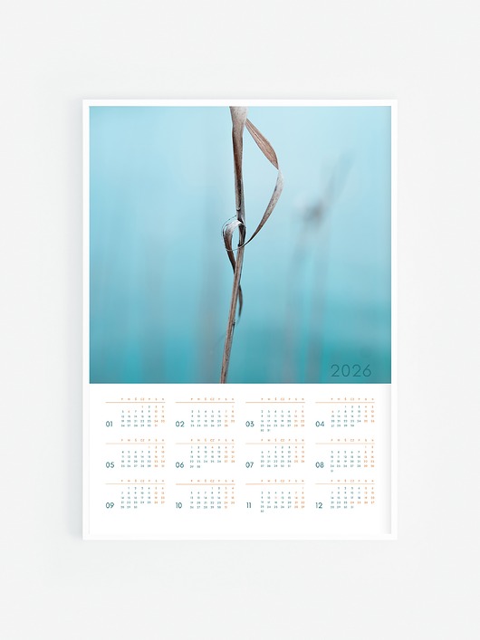 kalendarze i plannery 2026 Kalendarz XI