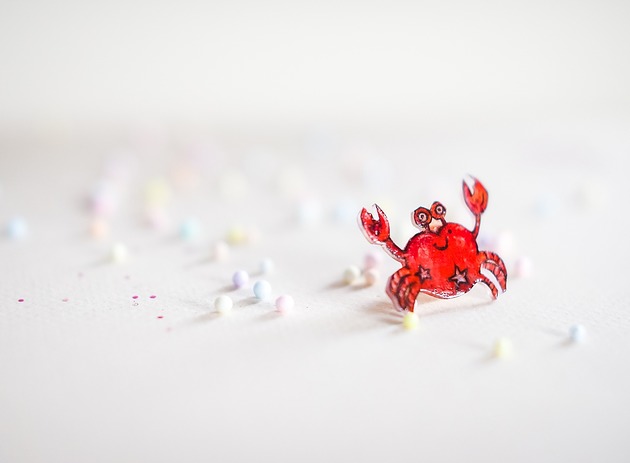 przypinki Przypinka krab Tulipan