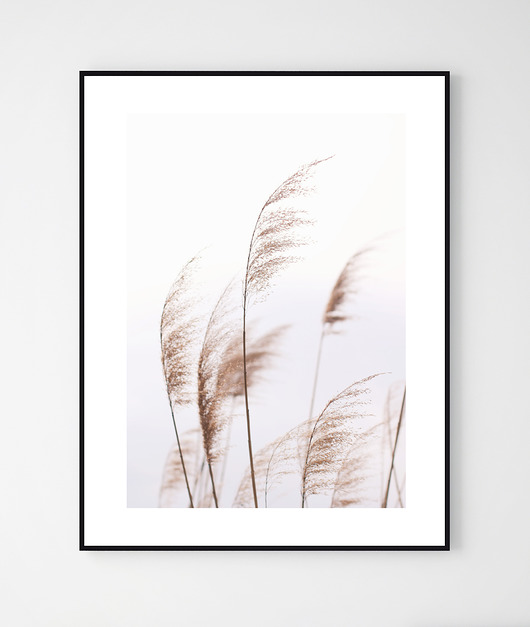 plakaty Plakat z motywem roślinnym LEKKOŚĆ/ No.5