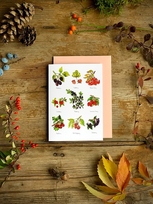 kartki okolicznościowe - wydruki Owoce leśne- Kartka- ilustracja- las