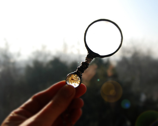 wisiory Lupa z roślinką