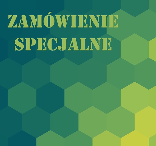 Kolczyki - rezerwacja Silverka
