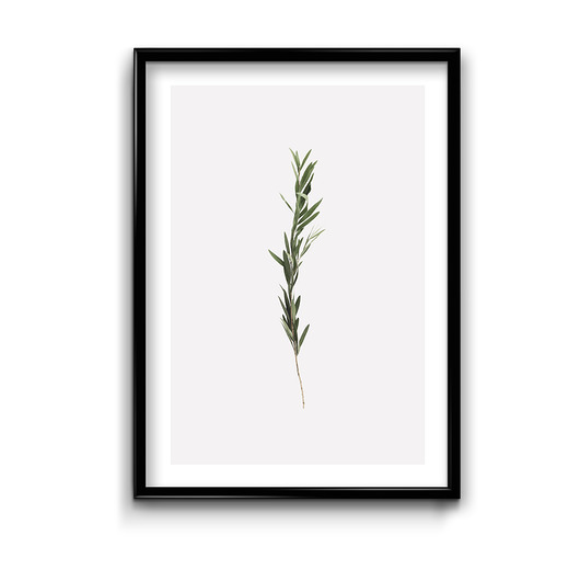 Plakat Naturalny minimalizm #7 Bury Lis