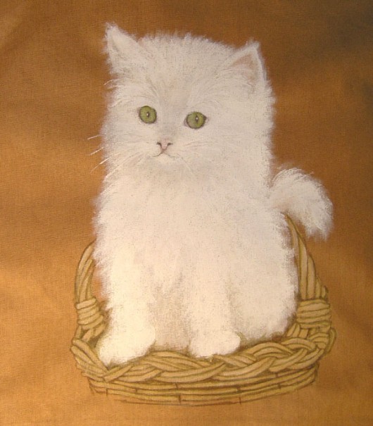 Kotek Sandra
