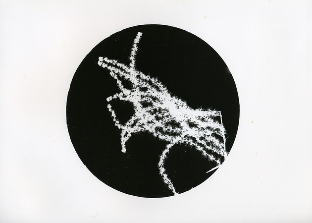 fotografia Ona Gwiaździsta