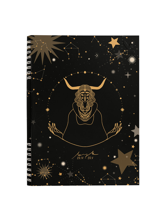 kalendarze i plannery NOTES ZODIAKI BYK B5  160 stron  SZARE LINIE