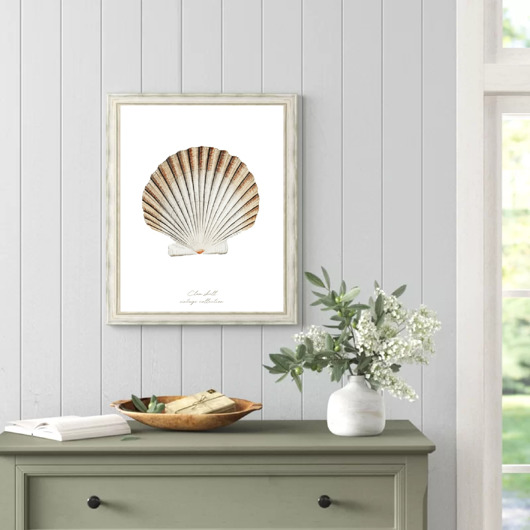 plakaty PLAKAT muszla, vintage, ilustracja