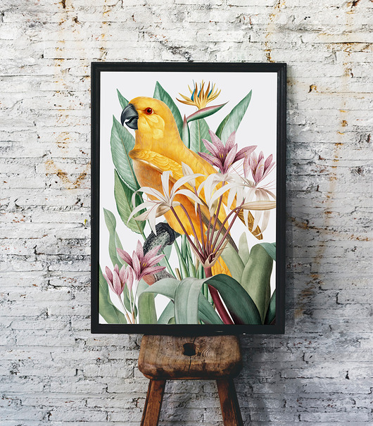 Plakat Papuga i kwiaty HOG STUDIO