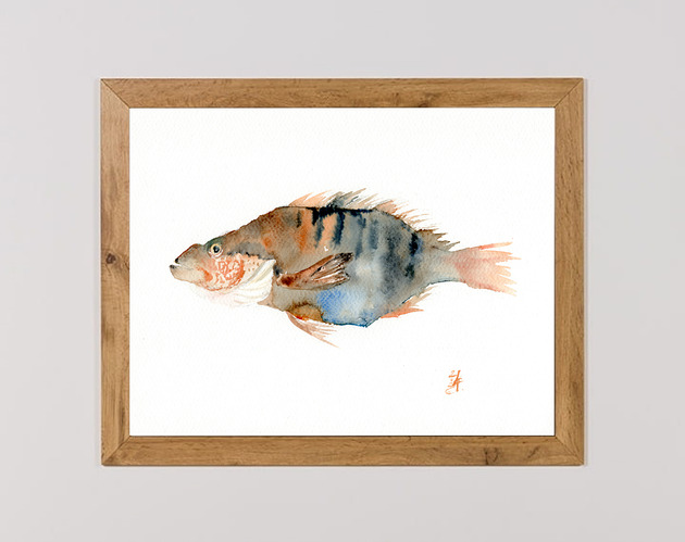 obrazy Oryginalna akwarela. Ryba