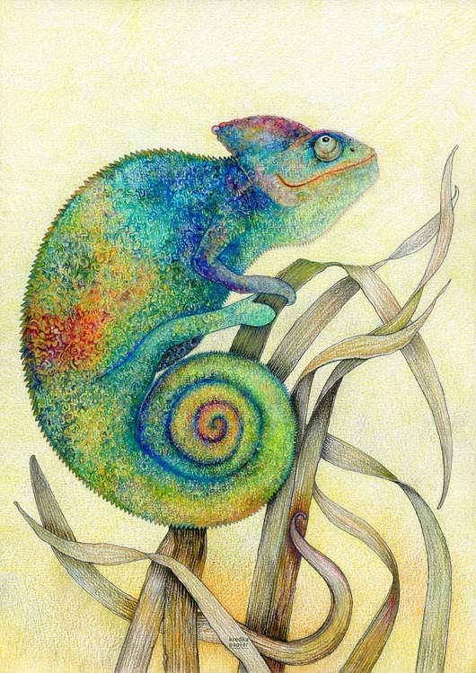 plakaty Plakat Cameleon