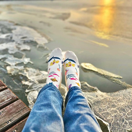 skarpetki damskie Skarpetki Leśna Kraina - Grzyby, Paprocie i Natura