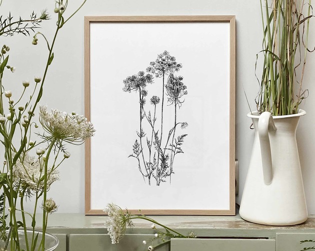 grafiki i ilustracje Aminek 30x40 - grafika botaniczna