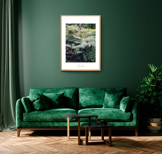grafiki i ilustracje Fotografia autorska