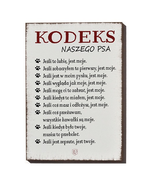 Tabliczka Kodeks naszego psa LV Home