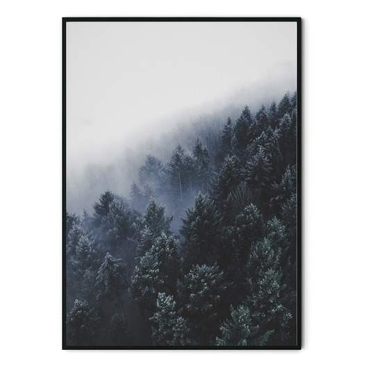 Plakat skandynawski Zamglony las myscandi