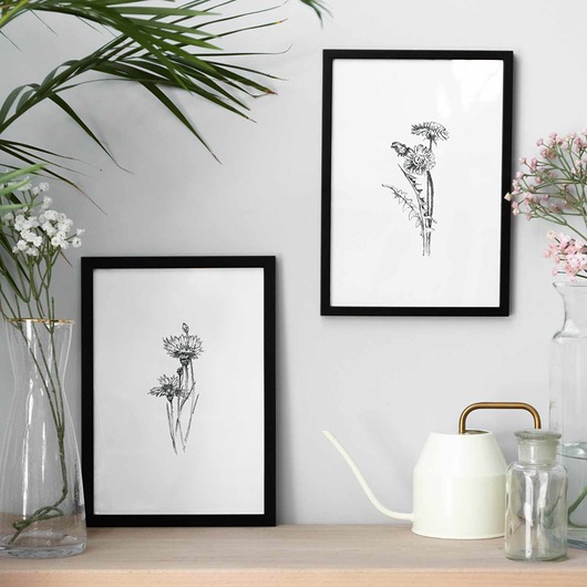 grafiki i ilustracje Zestaw dwóch grafik botanicznych