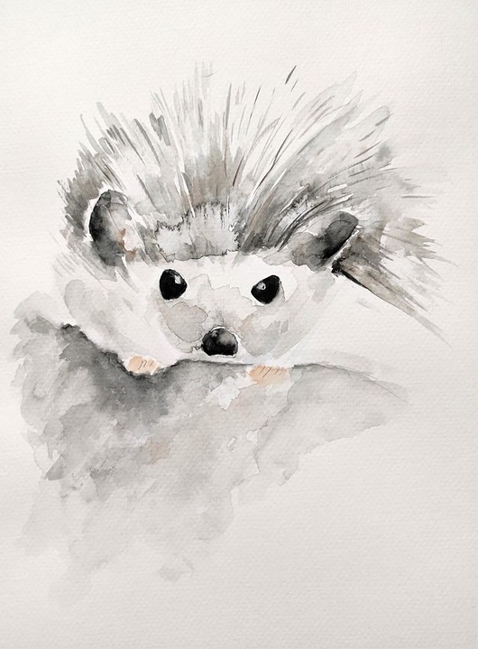 Akwarela jeżyk Wiktoria Borys Art