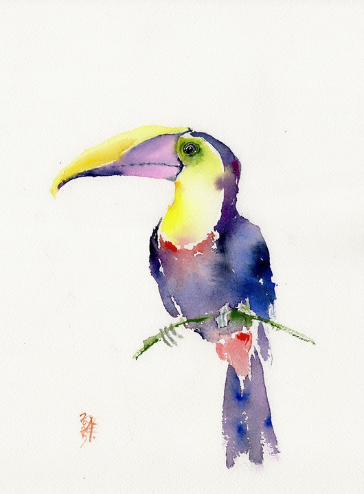 obrazy Oryginalna akwarela. Tukan