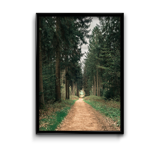 Plakat Droga przez las  Bury Lis