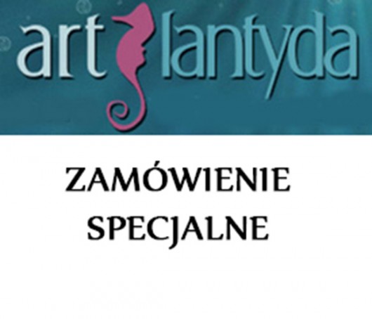 Zamówienie specjalne dla Pana Tytusa Artlantyda