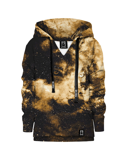 bluzy dla chłopców Bluza Chłopiec DR.CROW Space Wolf