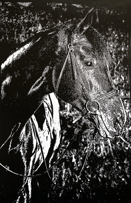 grafiki i ilustracje Linoryt "Portret karego konia"