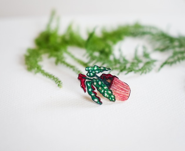 przypinki Przypinka begonia Maculata