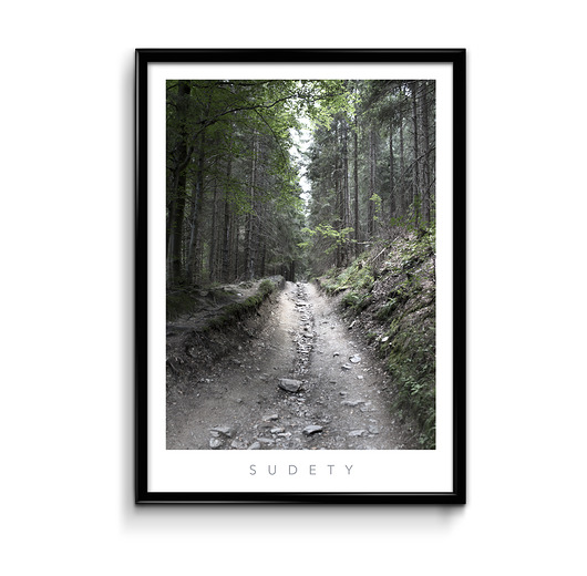 Plakat Sudety #2  Bury Lis