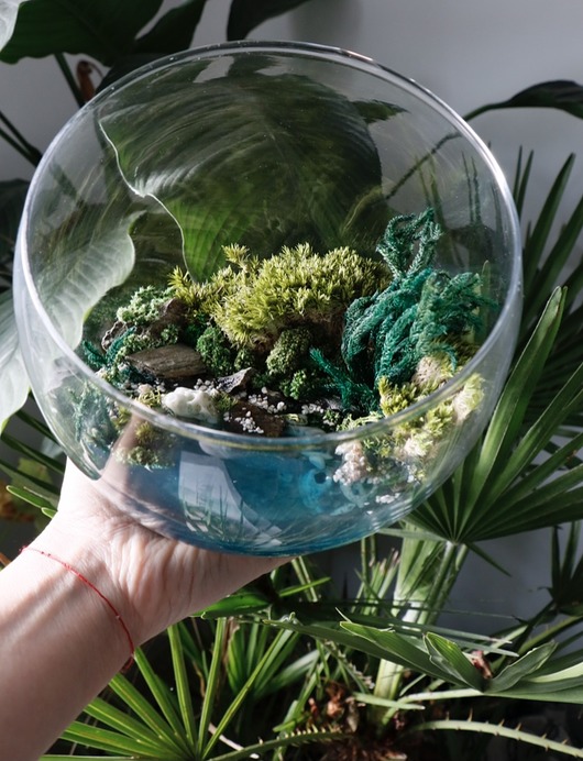 dodatki - różne Terrarium natura zamknięta w szkle