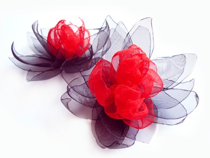 FEEVER SundayRose