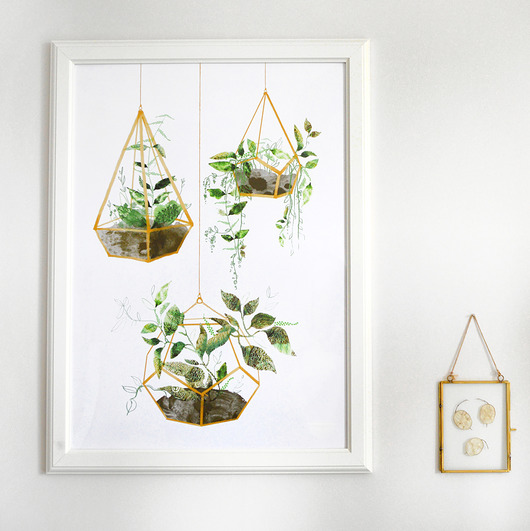ilustracja botaniczna | 50x70 cm Anita Tomala