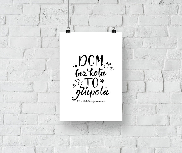 plakaty Plakat Dom bez Kota To Głupota