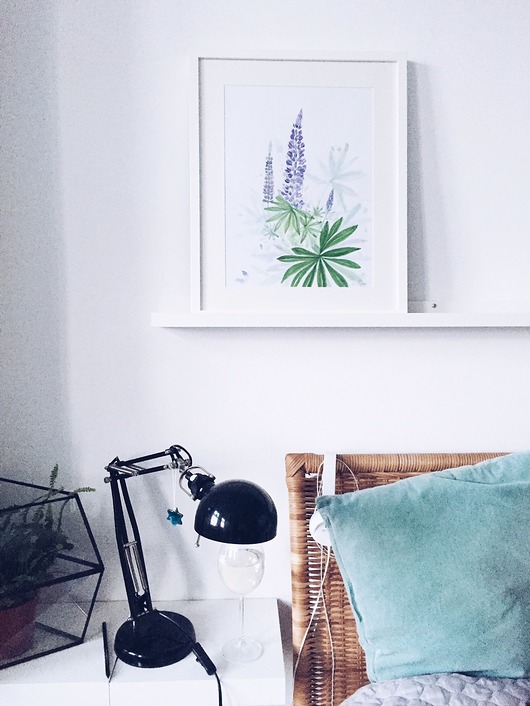 Łubin, print | 30x40 cm Margo Hupert