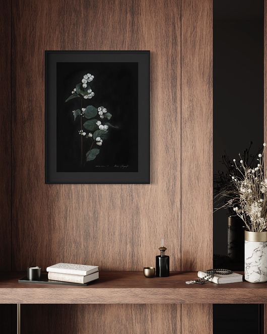 grafiki i ilustracje Śnieguliczka biała