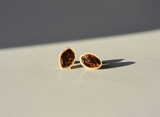 Pistacje z egzotycznym drewnem -sztyfty mazuni